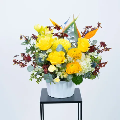 季節のお任せ ビタミンアレンジメント