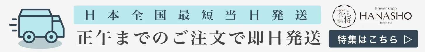 正午までの注文で即日全国発送