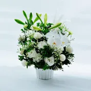 お供え、お悔やみの花商品一覧リンクボタン