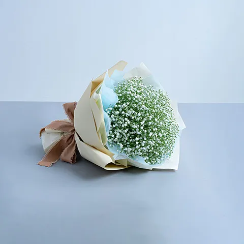 白色系かすみ草の花束