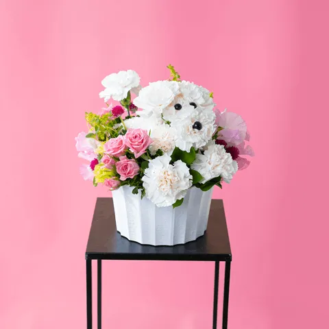 白カーネのわんちゃんアレンジ