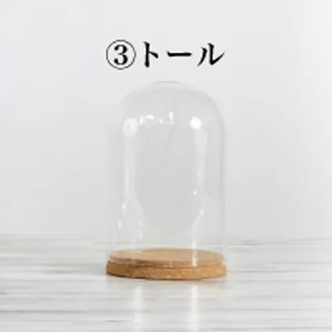 ガラスドーム【①ラージ】【バラ等】【4〜12輪目安】【立体保存加工】