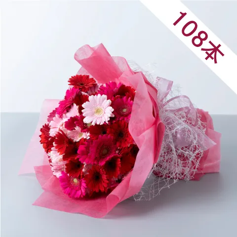 ガーベラ108本の花束