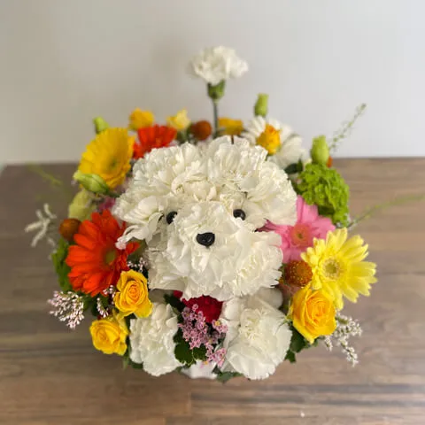 白カーネのわんちゃんアレンジ