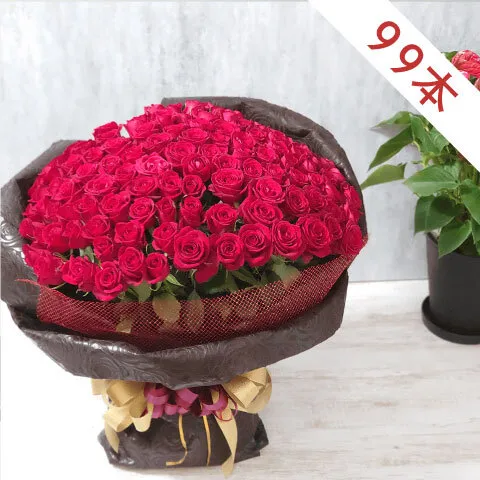 赤バラ99本の花束