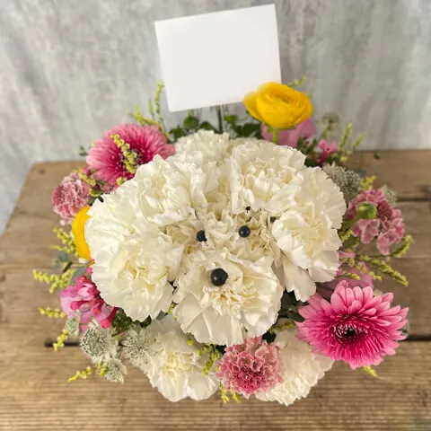 白カーネのわんちゃんアレンジ