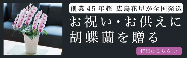 お祝い・お供えに胡蝶蘭を贈る