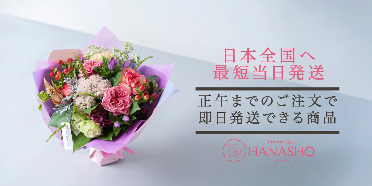 正午までのご注文で即日発送