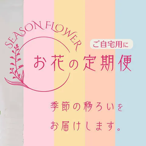 ”今回はスキップする”が選択できる!