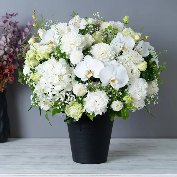 白基調で胡蝶蘭と季節の花アレンジメント L