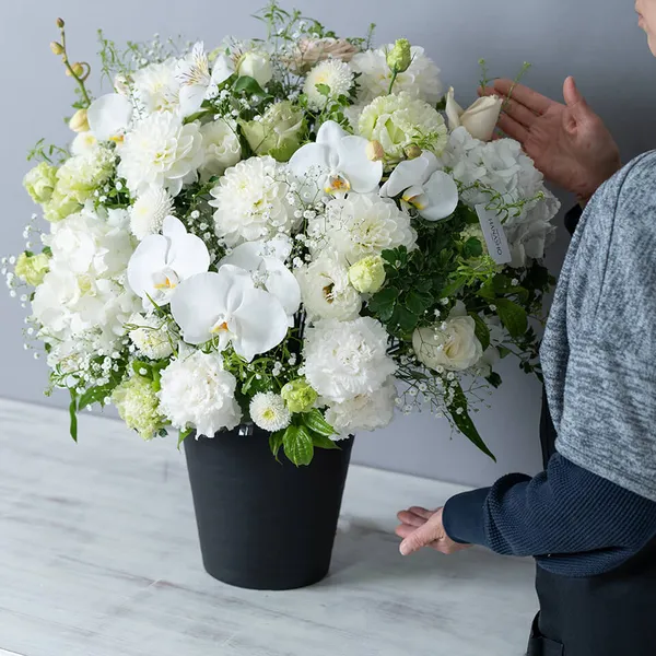白基調で胡蝶蘭と季節の花アレンジメント L｜広島花屋オンライン
