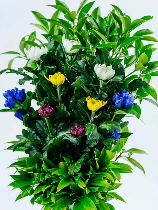 墓用】樒と季節のお花で墓花1対（左右に1つずつ）｜広島花屋オンライン