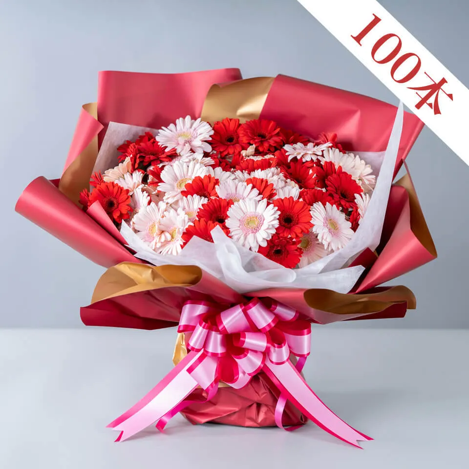 ガーベラ100本の花束｜広島花屋オンラインショップ花将