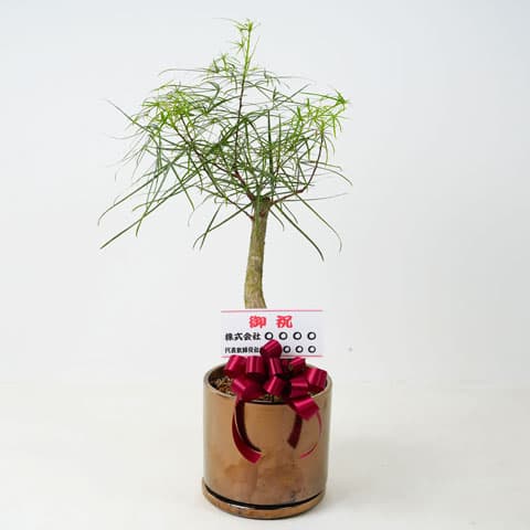 メッセージカード・木札の例1