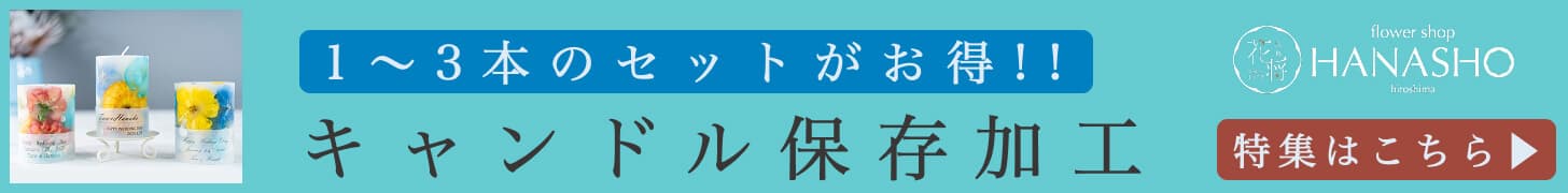 キャンドル保存加工