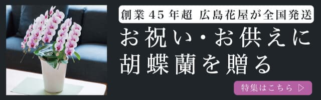 お祝い・お供えに胡蝶蘭を贈る