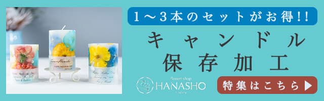 キャンドル保存加工