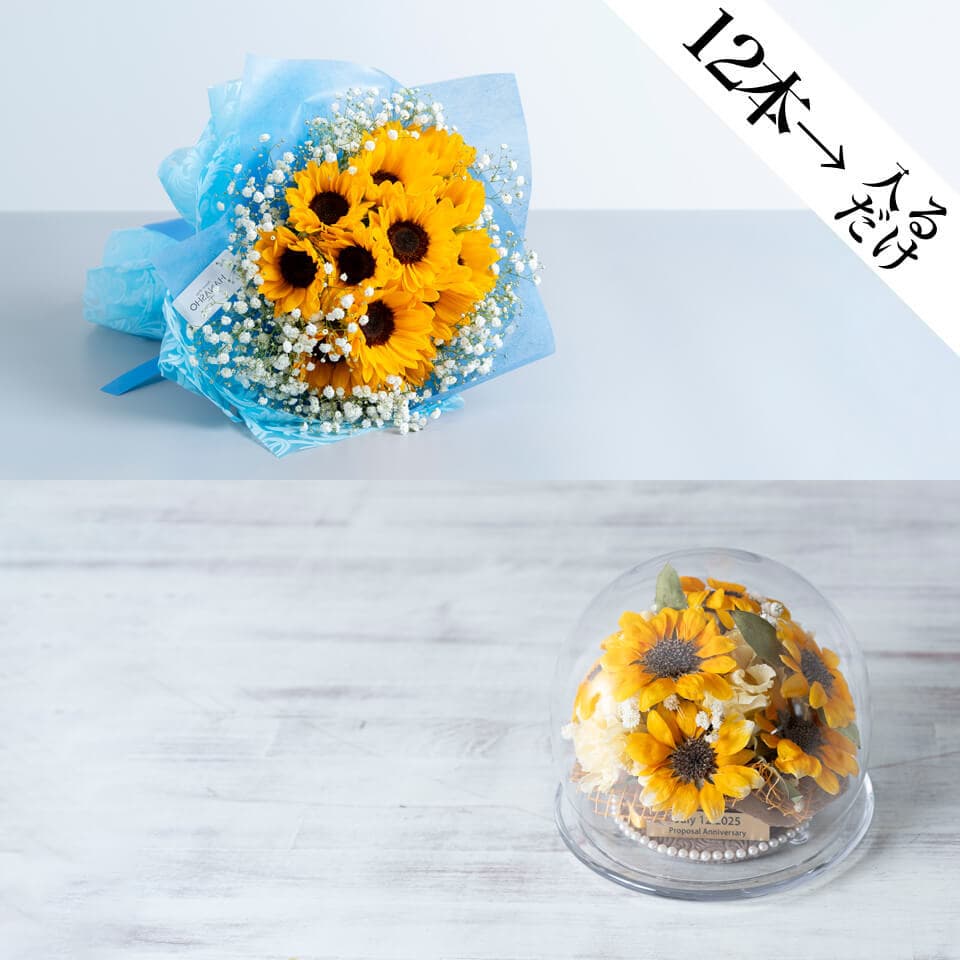 【ひまわり12本花束】と【ガラスドーム ラージ】のセット(かすみ草入り) 商品画像 1