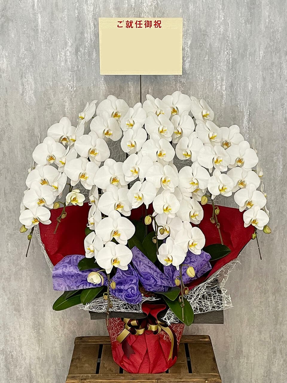 【お祝い用】7本立ち白胡蝶蘭 商品画像 3