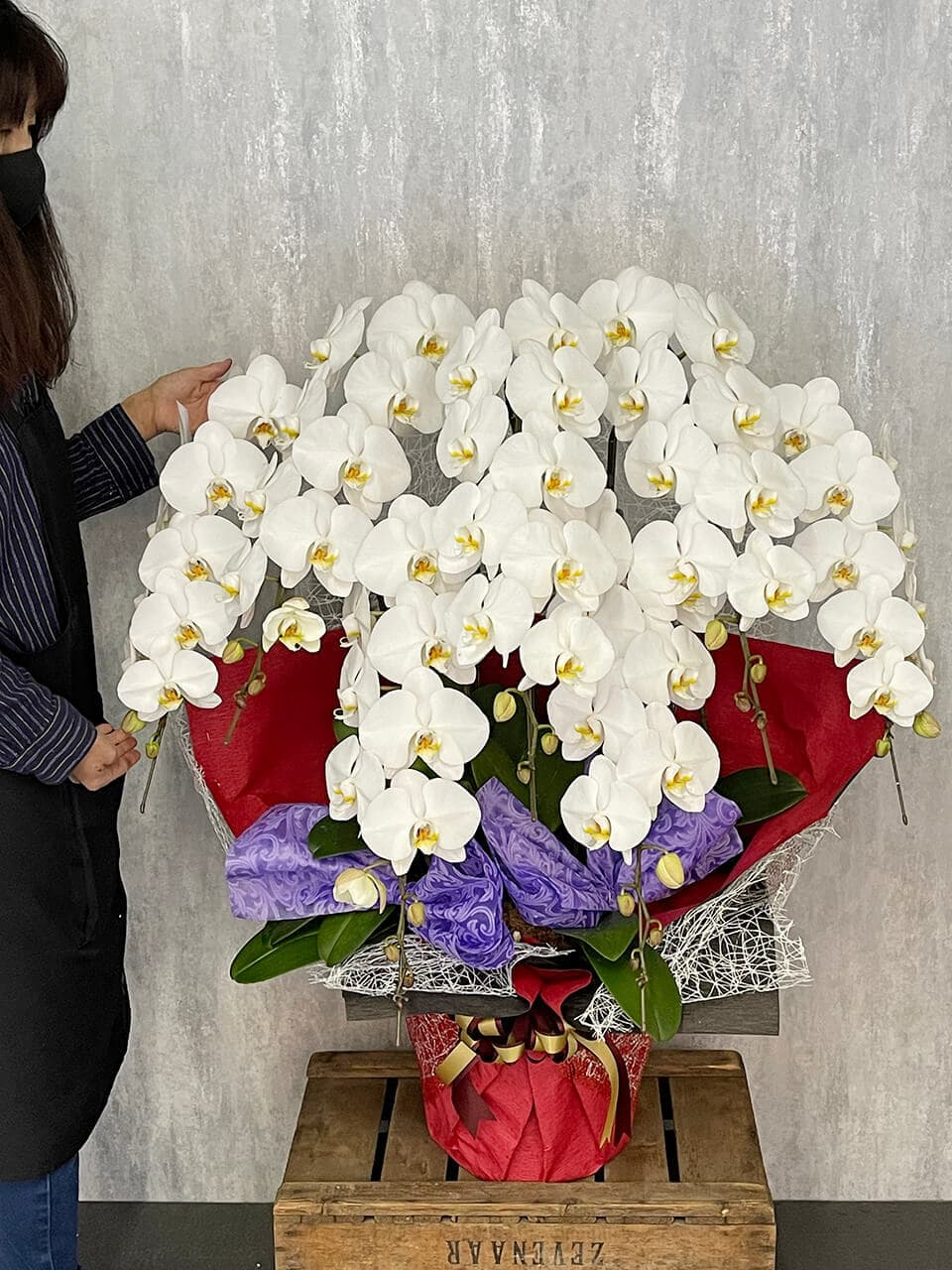 【お祝い用】7本立ち白胡蝶蘭 商品画像 4