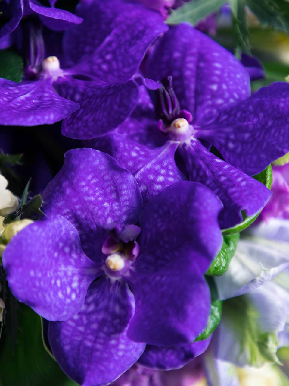 紫ブルー系の花束 商品画像 4