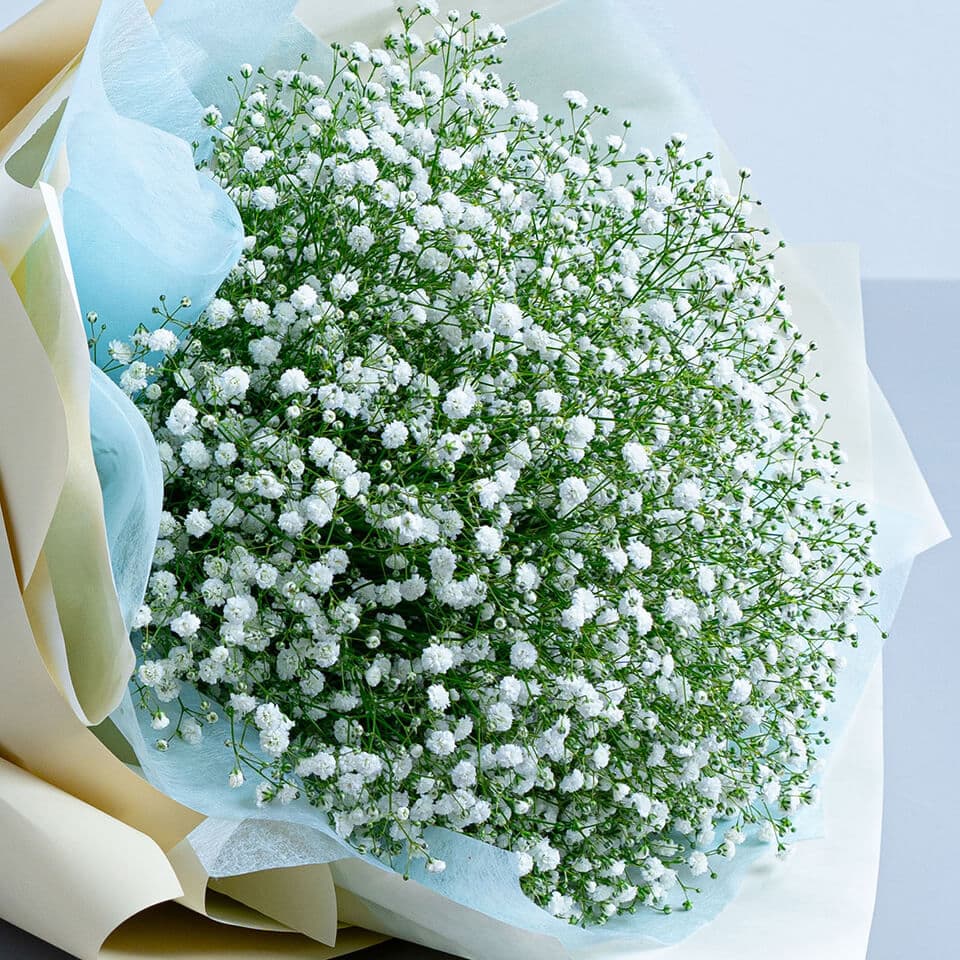 白色系かすみ草の花束 商品画像 3
