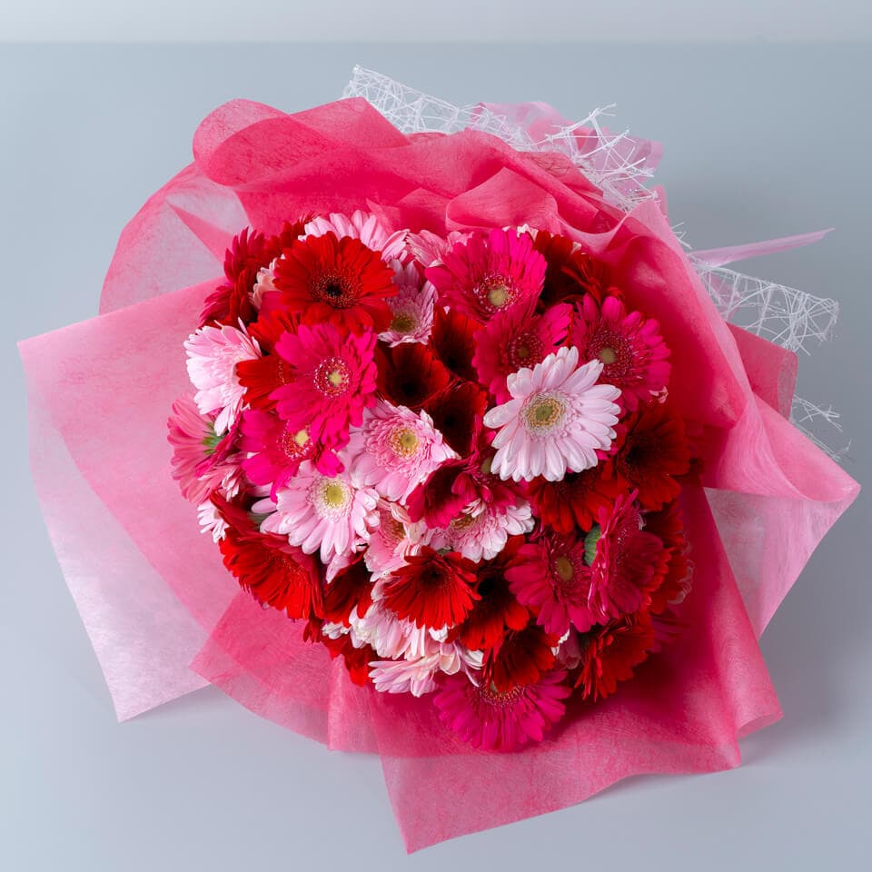 ガーベラ108本の花束 商品画像 3