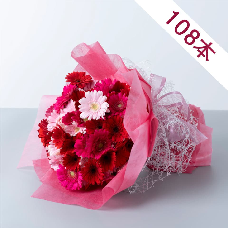 ガーベラ108本の花束 商品画像 1