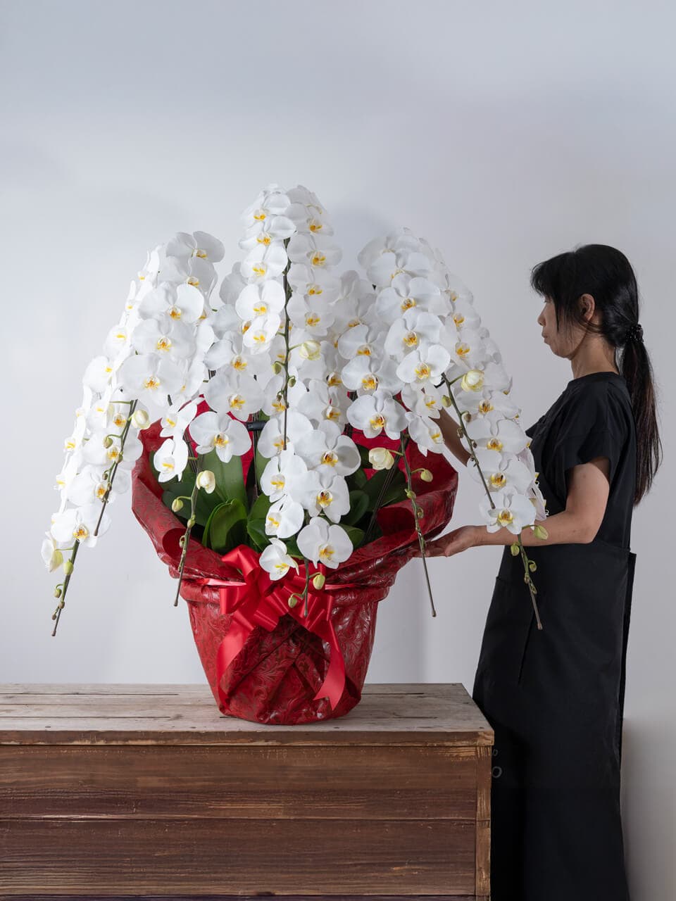 【お祝い用】豪華8本立ち白胡蝶蘭 商品画像 5
