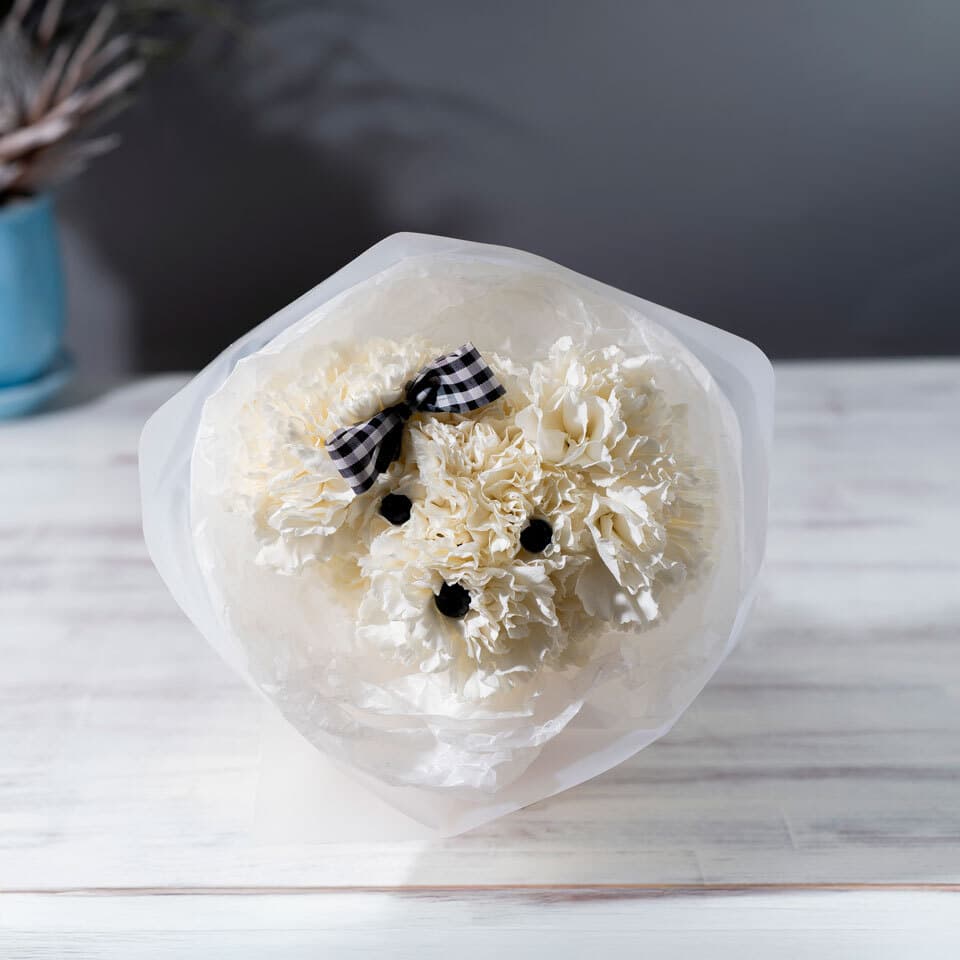 カーネーションのワンちゃん花束 商品画像 1