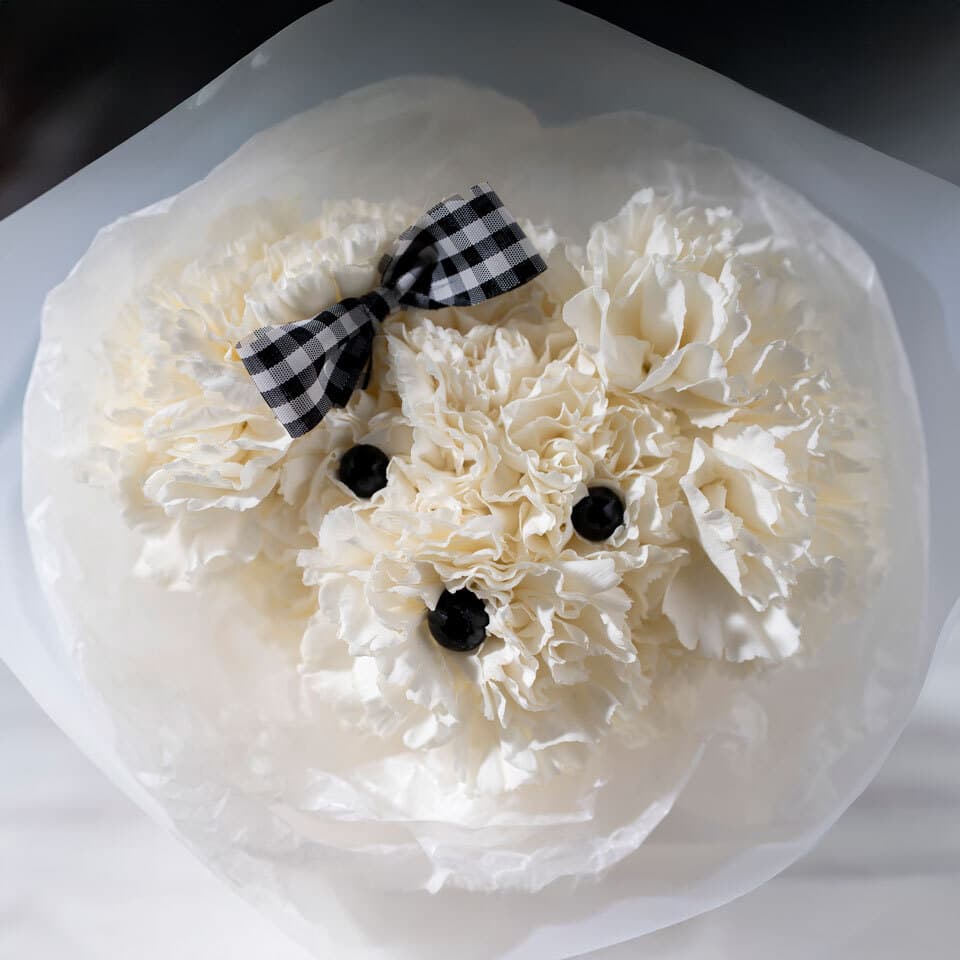 カーネーションのワンちゃん花束 商品画像 3