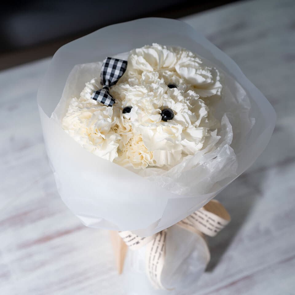 カーネーションのワンちゃん花束 商品画像 4